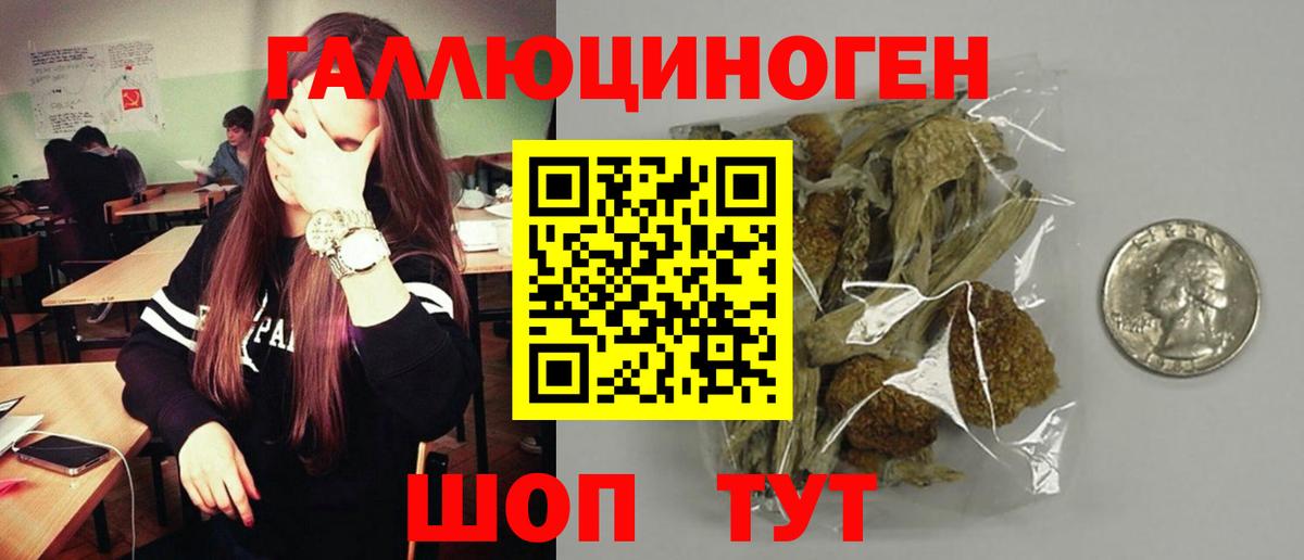 Бийск  Псилоцибиновые грибы мицелий  Вход с VPN 